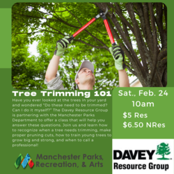 Tree Trimming 101 Class