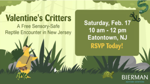Valentine's Critters: A Sensory-Safe Reptile Encounter