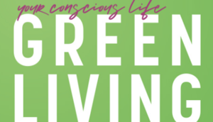 David DeLorenzo Presents First Healing Hospitality Opportunity of 2024 JAN. 28