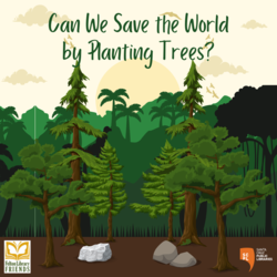 Can We Save the World by Planting Trees?