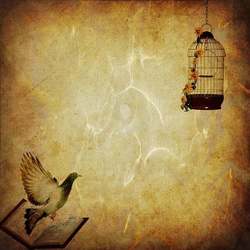 Stories in Exile Reading Group from The Yiddish Book Club--Discussion "On the Landing" by Yenta Mash