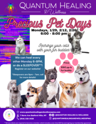 Bring Your Pet to the Energy Enhancement System