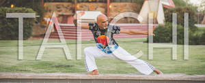 Tai Chi with Rasoul Amin Sobhani