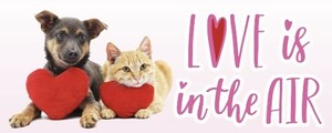 Love is in the Air