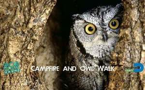 Campfire and Owl Walk