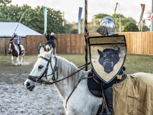 Florida Renaissance Festival