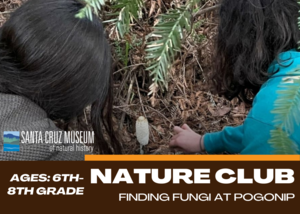 Nature Club: Finding Fungi at Pogonip