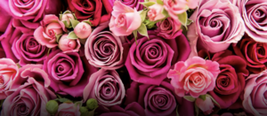 Hundred Mile Brewing Company Hosts Brews and Hearts Speed Dating Event FEB. 14