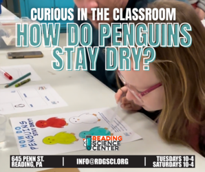 Curious in the Classroom - How do Penguins stay dry?