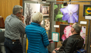 February Art Fair