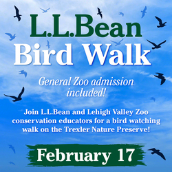 Lehigh Valley Zoo's L.L. Bean Bird Walk