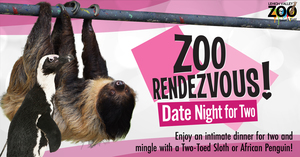 Zoo Rendezvous