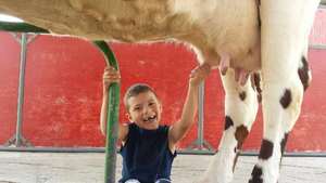 Mulberry Lane Farm Country Breeze Summer Event