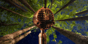 Redwood NIghts : Storytelling Under the Stars