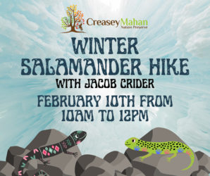 Winter Salamander Hike