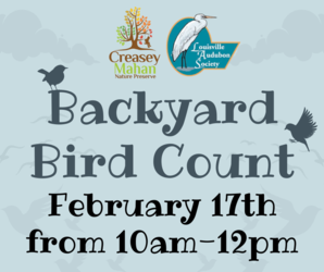16th Annual Great Backyard Bird Count