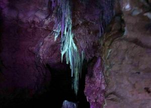 Cave Blacklight Tour