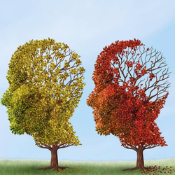 Decreasing Your Risk For Dementia: What We've Known and What We Know Now  An Update
