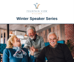 Legal Strategies for Seniors at Fountain View Village