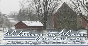 Weathering the Winter