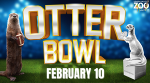 Lehigh Valley Zoo's Otterbowl
