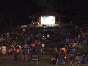 Movie in the Park: The Super Mario Bros.