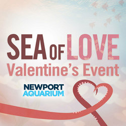 Sea of Love: Valentine's Event