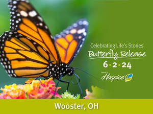 2024 Butterfly Release