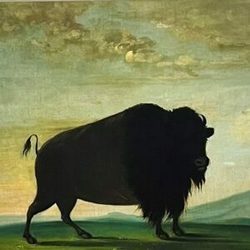 Opening NIght of "Native American Culture & Experience"