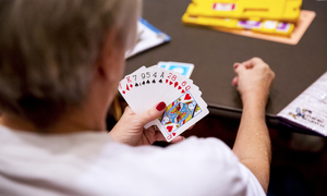 Easybridge!1 - Bridge lessons for new, and returning bridge players.