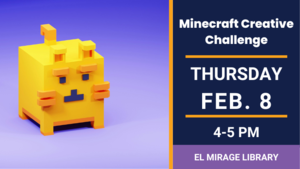The Minecraft Creative Challenge