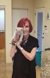 FEARLESS KITTY RESCUE ANNOUNCES SILVER WHISKERS PROGRAM