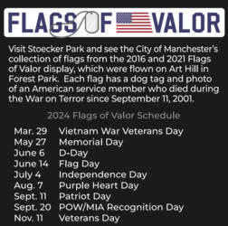 Flags of Valor for Vietnam War Veterans Day