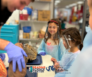 Curious in the Classroom: Heart Health - All about Blood