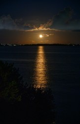 Water Ceremony with Waterspirit