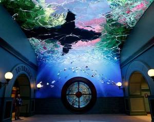 Aquatic Creatures Presented by the St. Louis Aquarium at the Windsor Branch Library