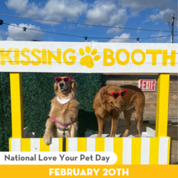 National Love Your Pet Day!