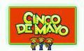 7th Annual Cinco de Mayo Charity Young Professionals Event