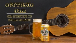 Acoustic Jam Session