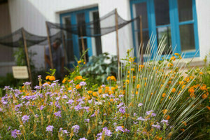 Gardens of Canoa Ranch