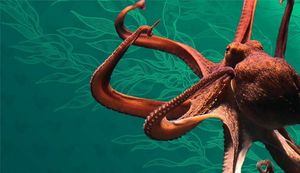 After Hours: No Pressure Valentine's Day