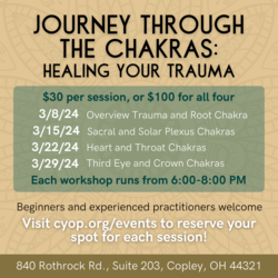 Journey Through the Chakras: Healing Your Trauma