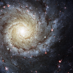 E.T., Phone Home! Are We Alone in the Milky Way?