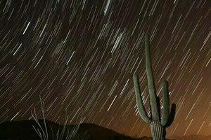 Stargazing Historic Canoa Ranch