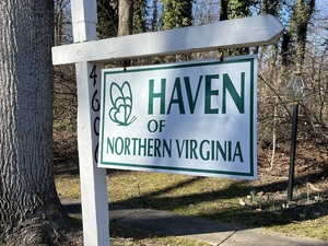 Suicide Loss Zoom Group