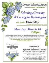 Selecting, Growing & Caring for Hydrangeas
