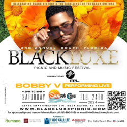 3rd Annual BlackLuxe Picnic