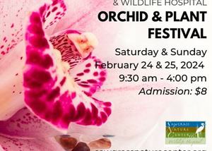 Sawgrass Nature Center’s Bi-annual Orchid and Plant Festival
