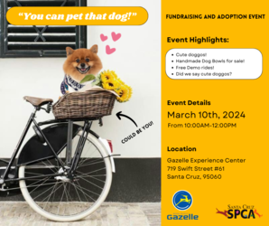 SPCA X Gazelle Experience Center Adoption / Fundraiser Event