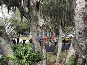 Master Tai Chi Class